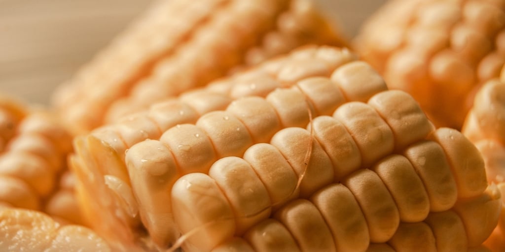 Corn Allergy Symptoms & Treatment - New York ASC