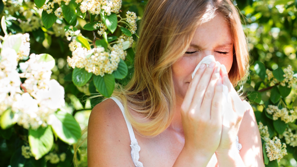 Here Is What You Need to Survive This Allergy Season New York Allergy