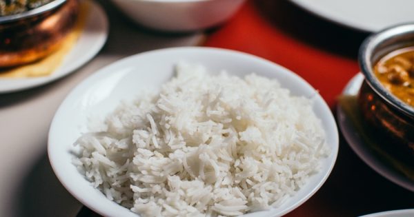 Dog allergic shop to rice symptoms