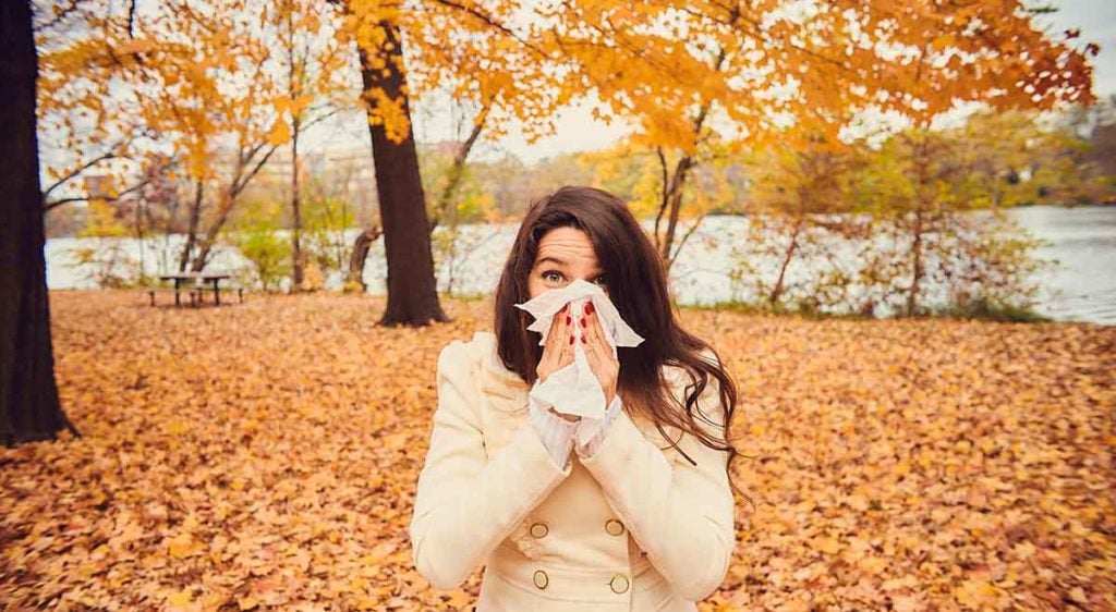 Seasonal Allergy Guide Fall New York Allergy and Sinus Centers
