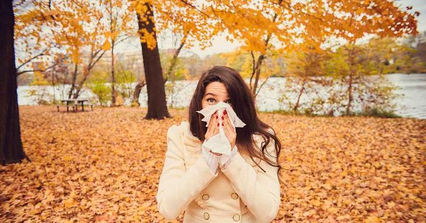 Seasonal Allergy Guide Fall New York Allergy And Sinus Centers