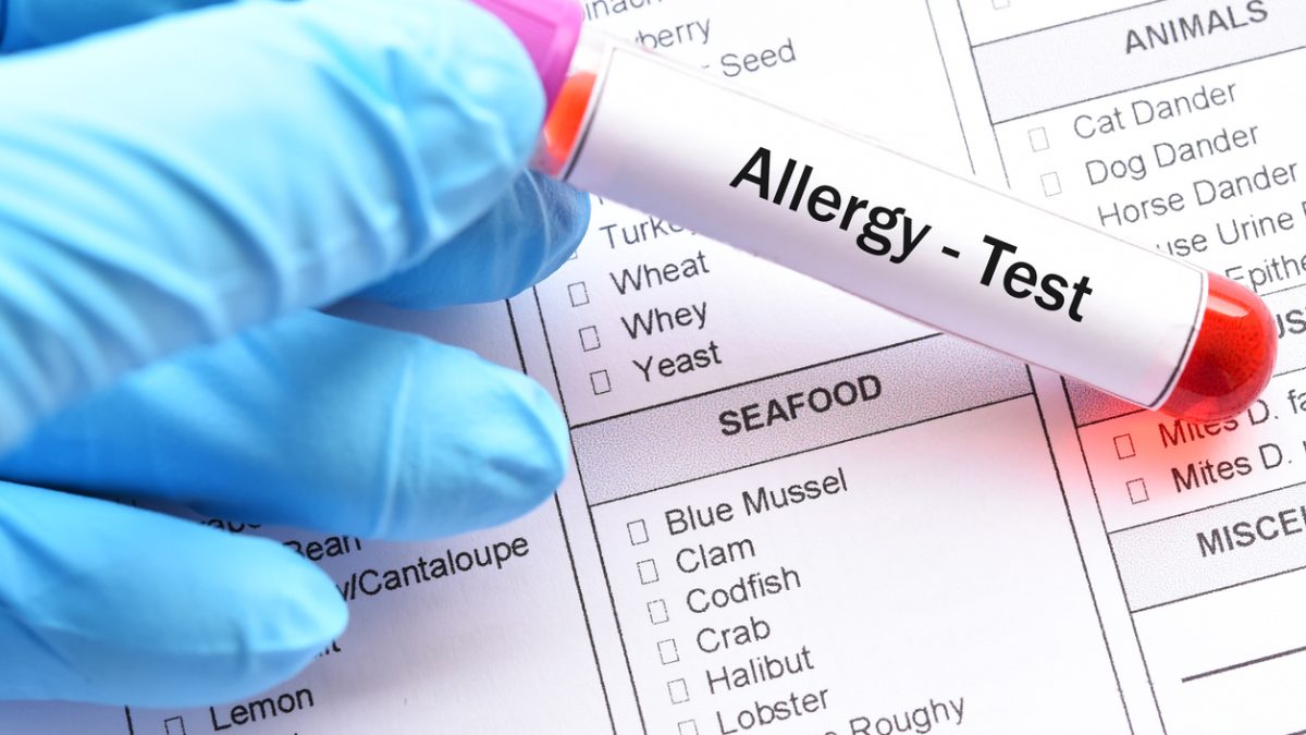 Dog allergy blood store test